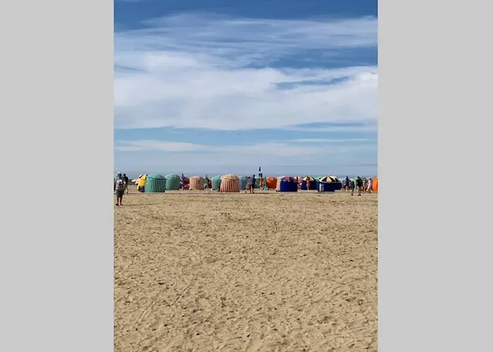 شقة Trouville-apt Renove-balcon Magnifique Vue تروفيي سور مير